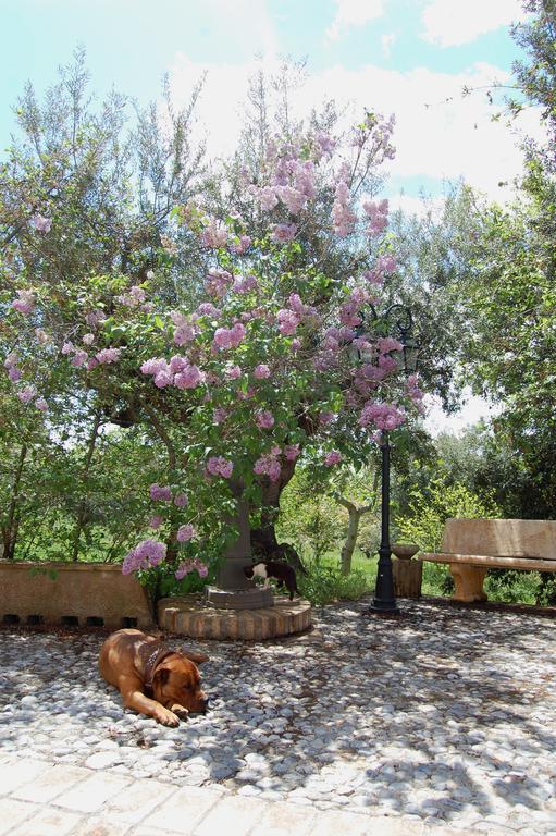 Masseria Fonte Di Maroglio Séjour à la ferme *