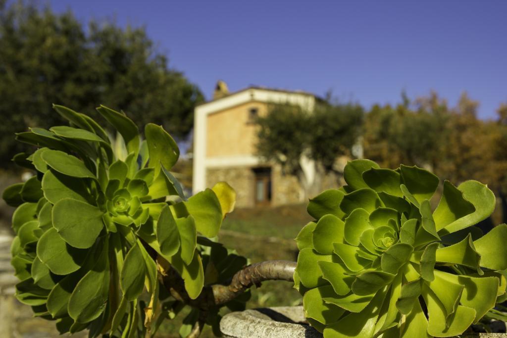 Masseria Fonte Di Maroglio *